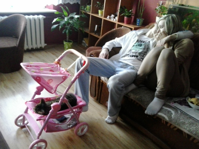 Z ni II :**