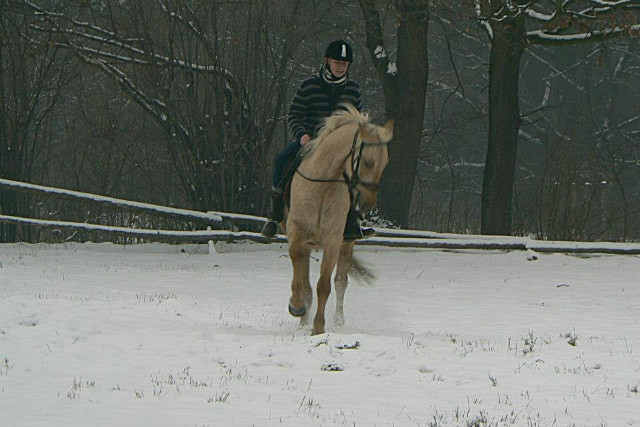 Palio :)