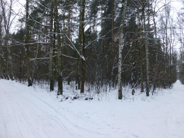 Wpis niewidzialny1004