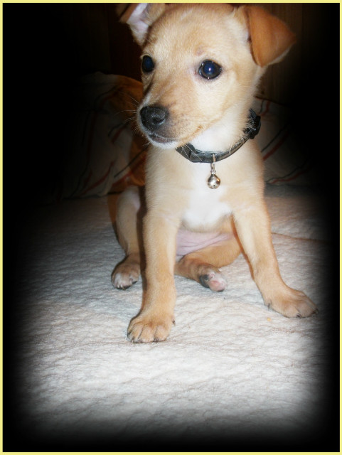 Nasza abcia;)