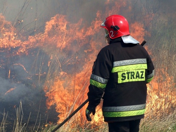 Straak