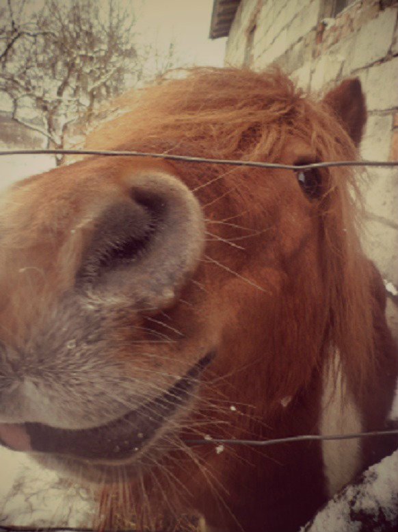 heheszky :D