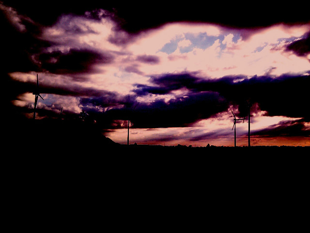Wpis dreamofcalifornia