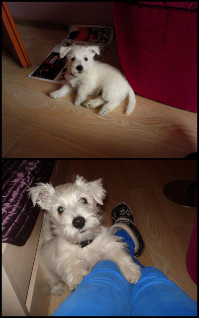 Zenu:)