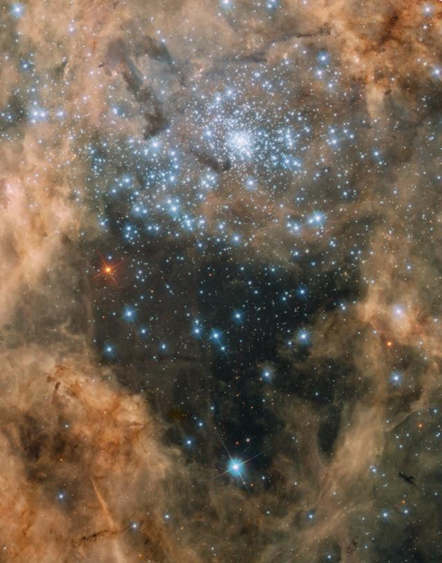 Wpis astroniki
