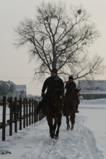 Wpis stajniaotorowo