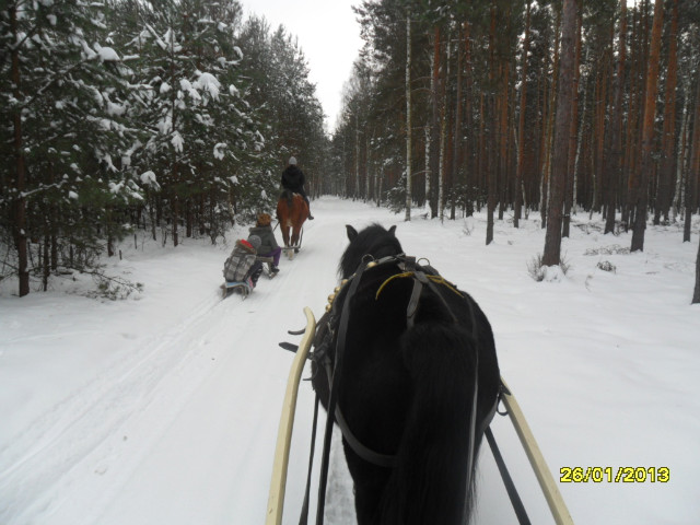 kulig