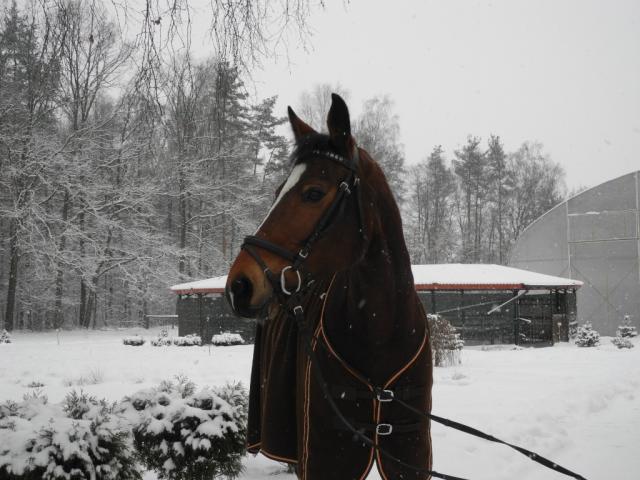 Dzie zwloki....
