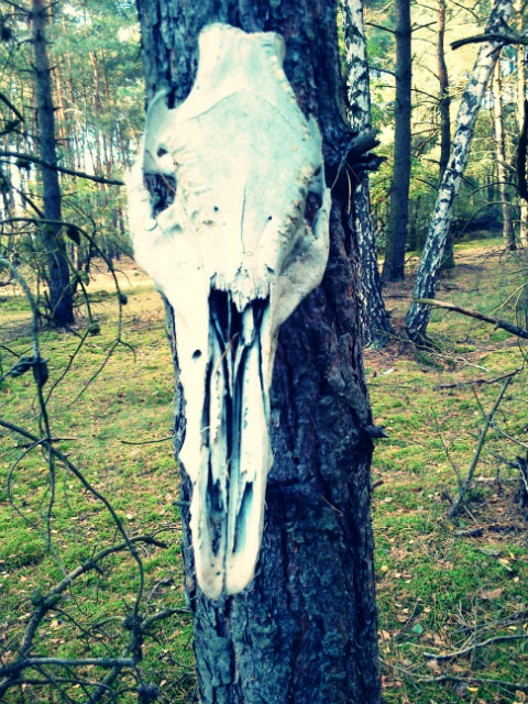 Wpis naturamoimsercem
