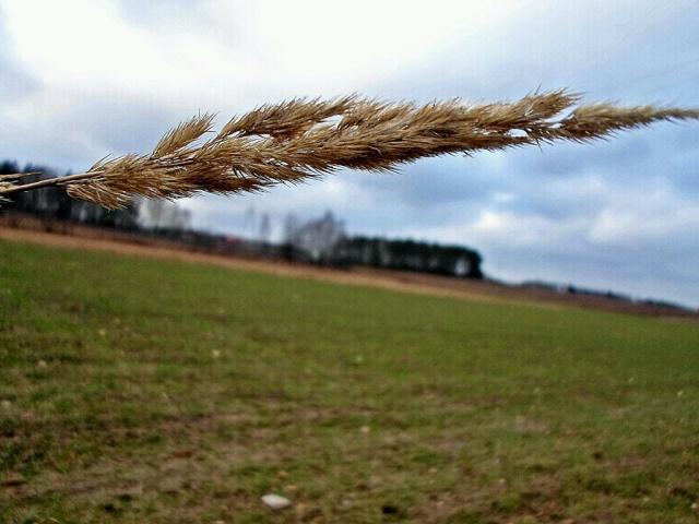 Wpis winterlife