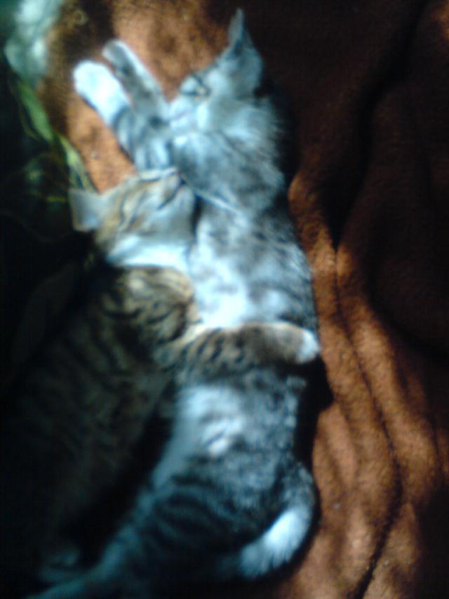 the best friend :P