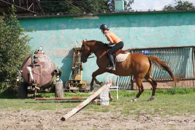 Roxana :)