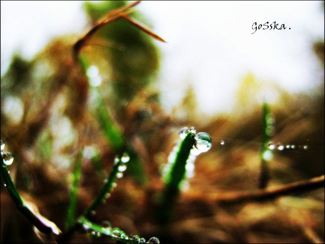 zdj / 21.1o.2o12r.