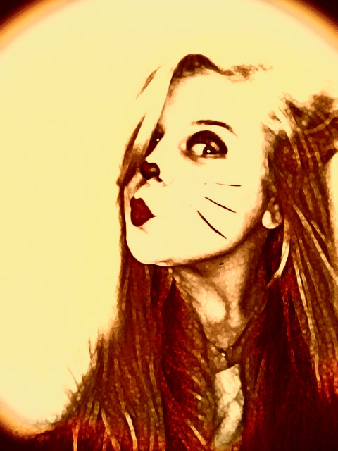 Meow Meow Meow I'm a Kitten Cat