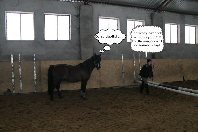 Haahahah