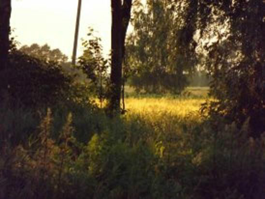 Wpis malinka9654