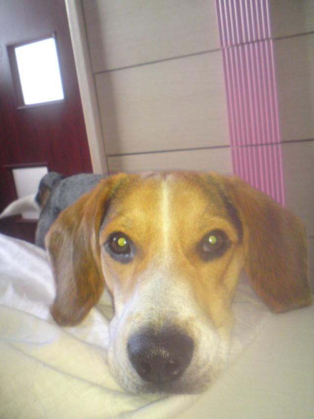 Mj kochany :D