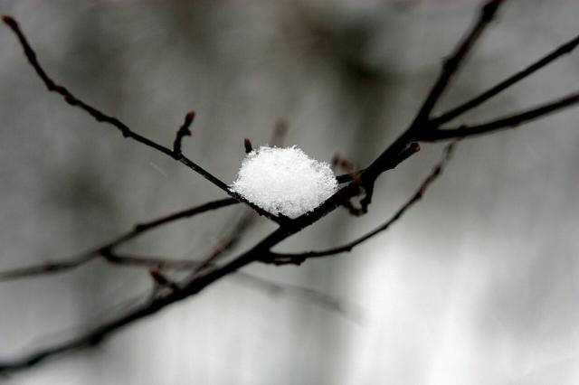 Wpis winterlife