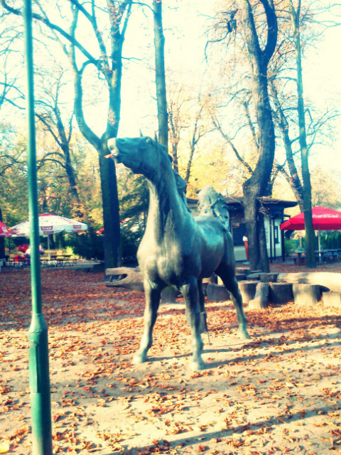 Wpis naturamoimsercem