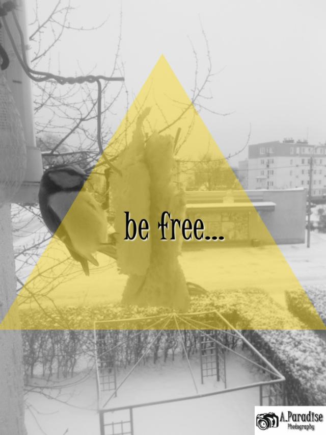 be free... (25)