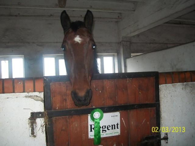 Regent - Is My Life 
