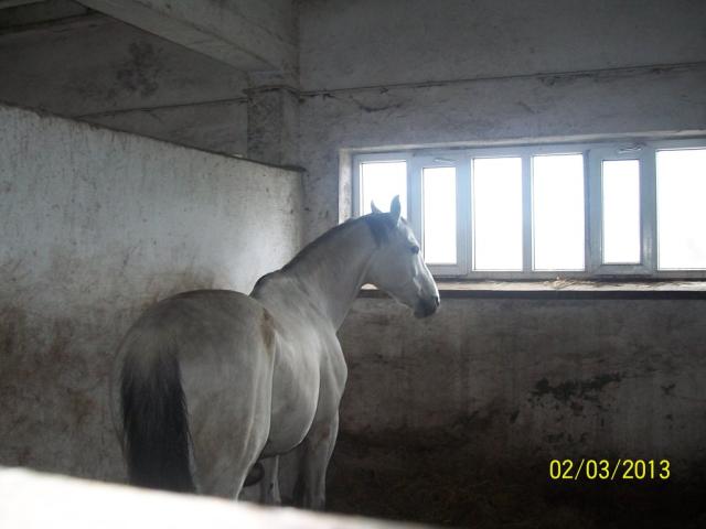 This Is Ogierro :) 