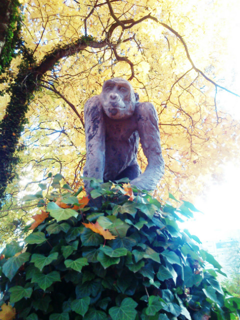 Wpis naturamoimsercem