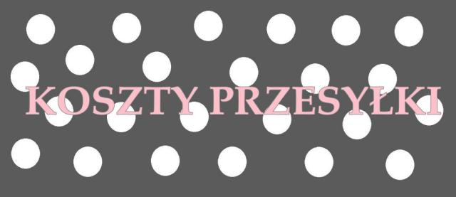 koszty przesyki