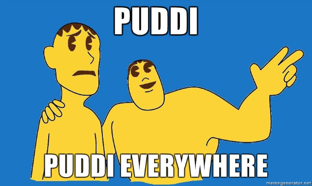 PUDDI?