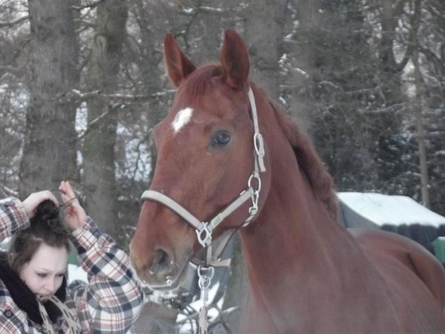 easys prince