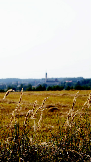 Wpis niewidoczny1545