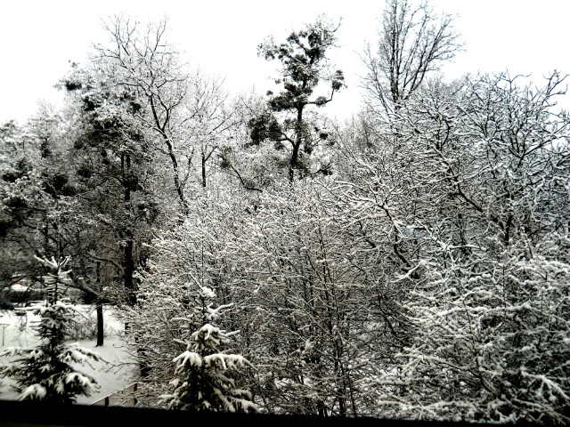 winter