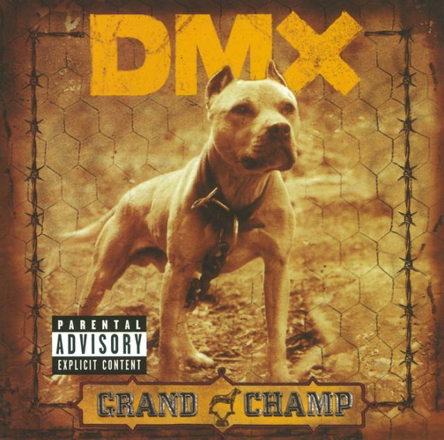 Dmx 