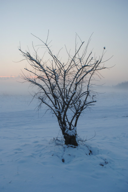 zima 2013r