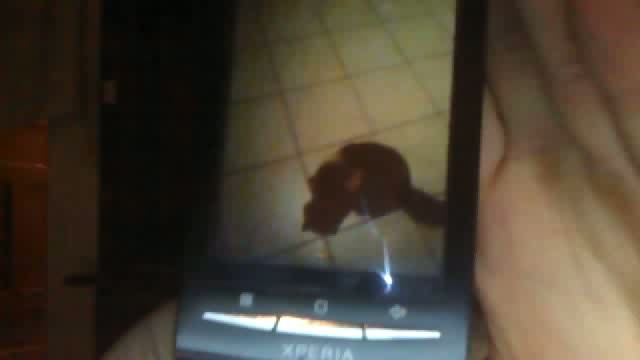 Wpis robertobarca3