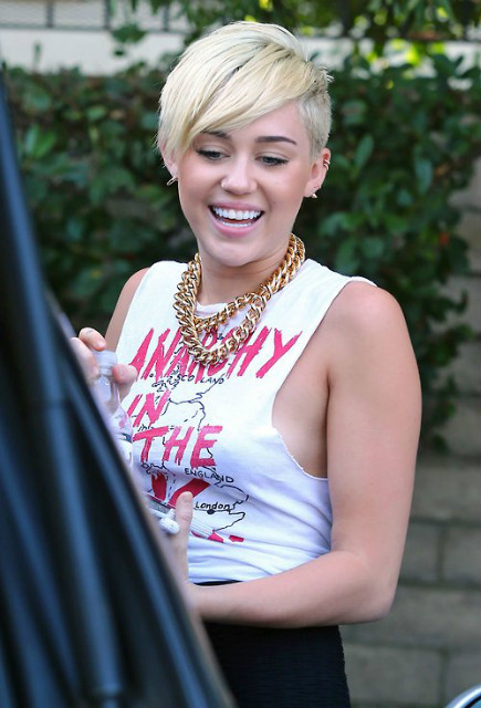 Wpis mileyyraycyrus