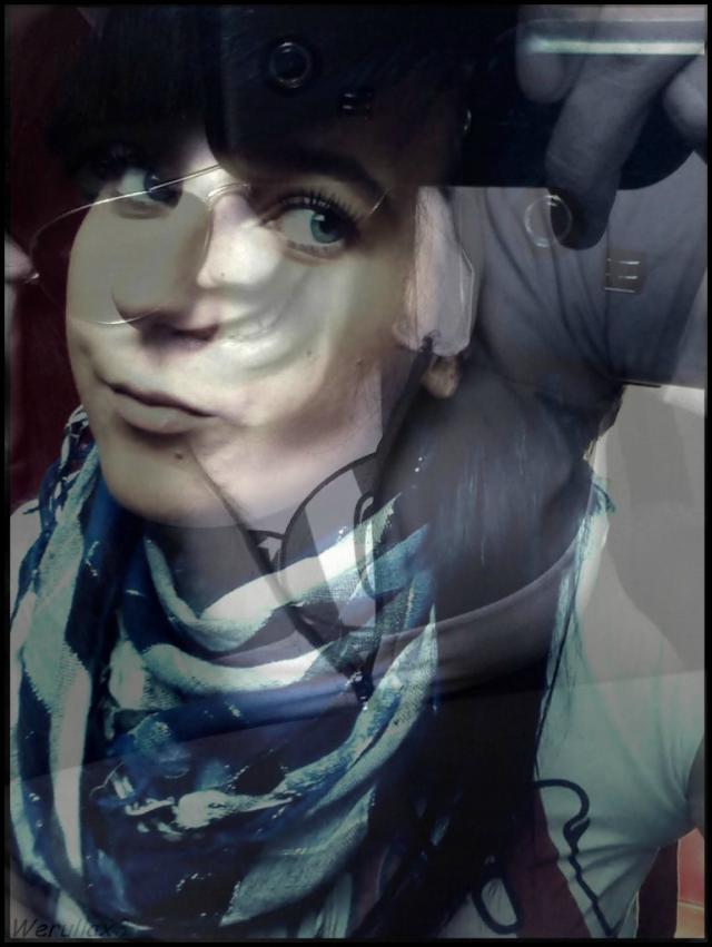 Wpis werullax3