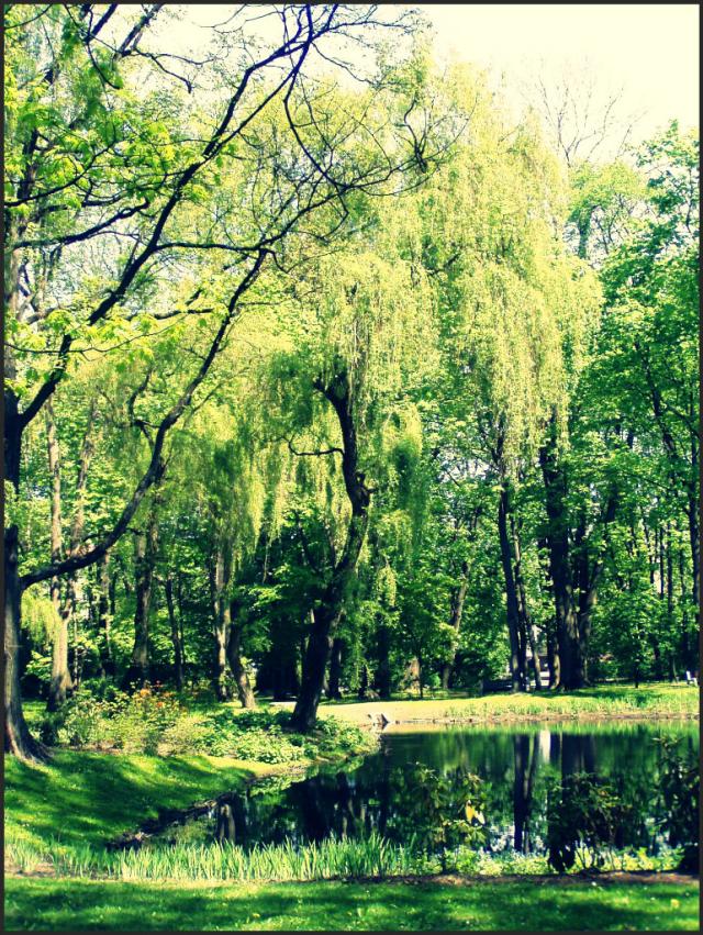 Planty 