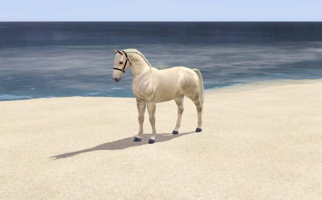 Wpis equumsims