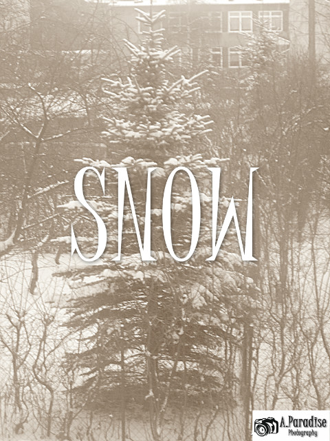 Snow (30)