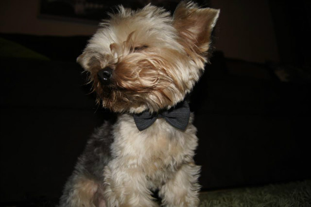 borys . ^^