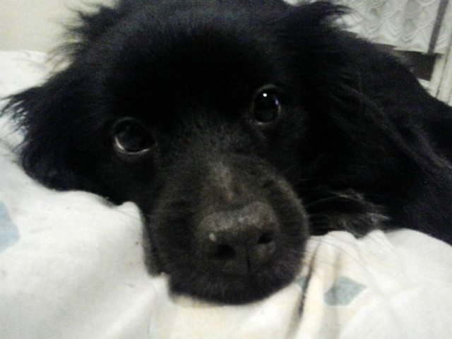 Riku