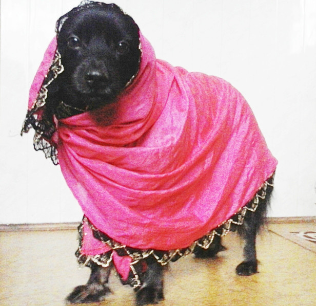 Wpis malinowadusza