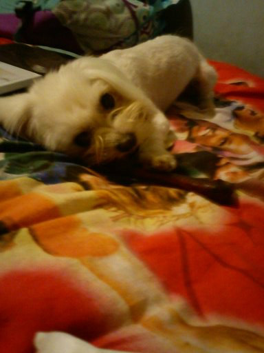 Jecku :*