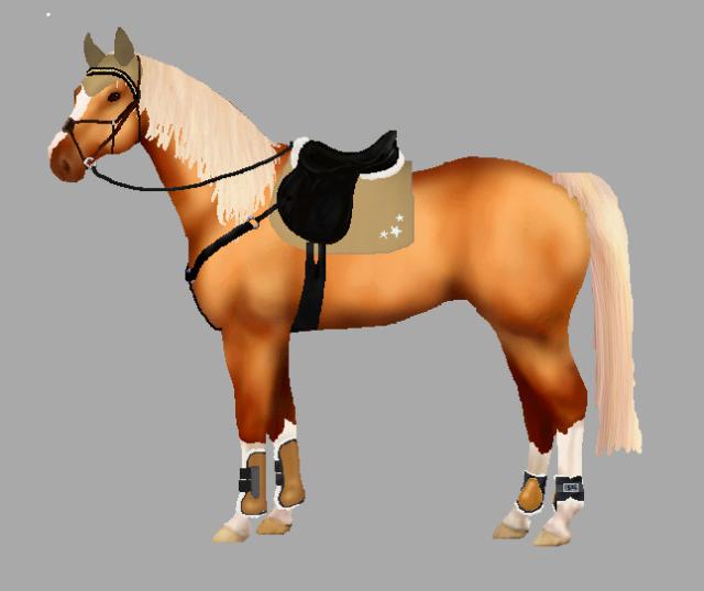 Wpis horseslives