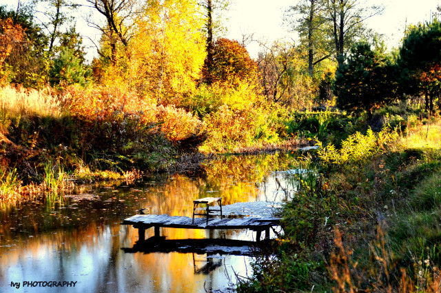 Wpis ivyphotography