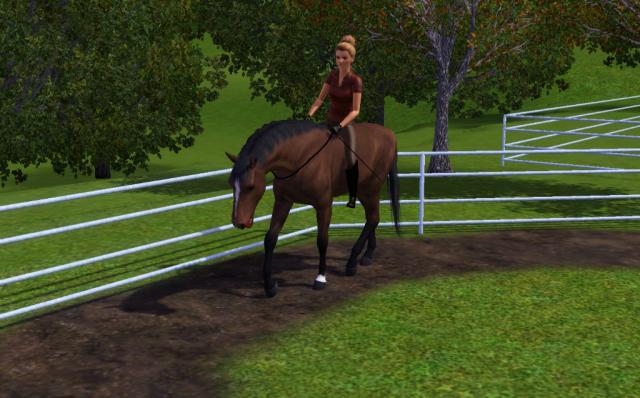 Wpis equumsims