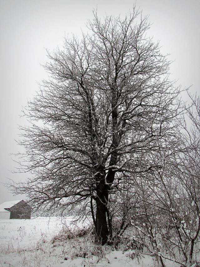 10.