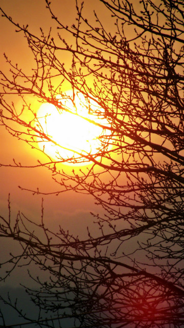 SUNSET . 