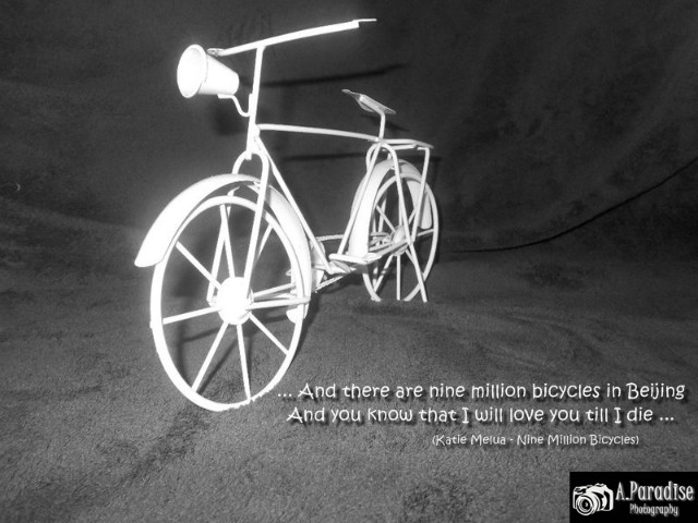 Nine Million Bicycles (32)